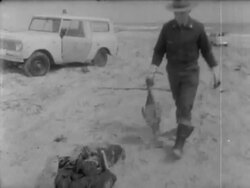 Oil Spill Ruins Cape Cod Coastline Stock Footage