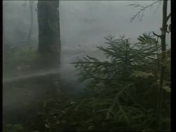 Source of fires causing smog to envelop Moscow News Clip