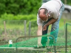 Gardening Stock Footage