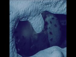 SYND 5 8 71ARTIST EXHIBITS PAINTINGS IN AQUARIUM Instructional Video