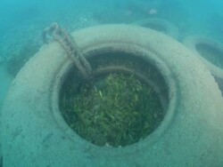  MS POV Wheel and plastic in water / Mediteranean sea Stock Footage