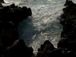 Close up shot of the beach from Kona Coffee farm. Stock Footage