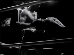 NO QUARTER IN SYDNEY PRIZE-FIGHT News Clip