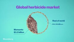 Does the Worldâ€™s Top Weed Killer Cause Cancer? News Clip