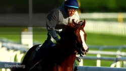 California Chrome: Top-Earning Thoroughbred in the U.S. News Clip