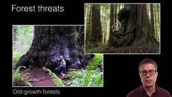 Forestry and Rangelands Instructional Video