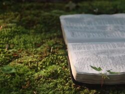 Close-up of a woman picking up a bible. - Model Released - 1920x1080 - HD Stock Footage