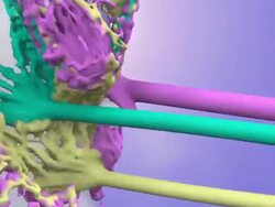 Something about Art and Women, in pastel colors. Stock Footage