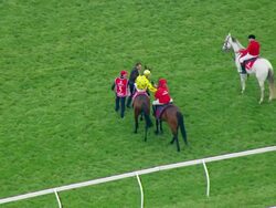 MS AERIAL TS View of Melbourne cup horse racing / Melbourne, Victoria, Australia Stock Footage