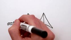 The Tacoma Narrows Fallacy Instructional Video