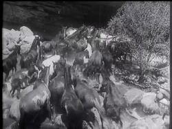 Cameragraphs: Â® Description by Ivan Scott News Clip