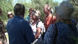 VOICED : Olives make Maltese News Clip