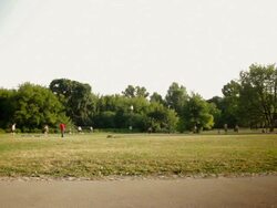 Summertime city park badminton timelapse Stock Footage