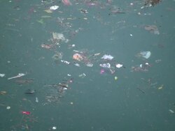 Environment: Swirling Trash Floating in Water Stock Footage