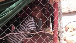 CLEAN : Stockshot images of Mauritania News Clip