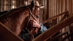 SLO MO Cowboy stroking his horse on the cheeks Stock Footage