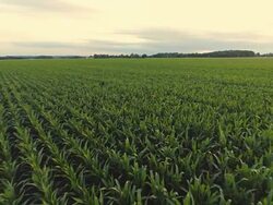 AERIAL Farmer Working In The Field Stock Footage