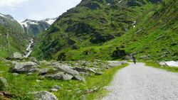 Mountain Biker Riding In Alpine Landscape (4K/UHD to HD) Stock Footage