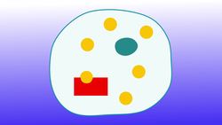 Regulation of Gene Expression: Operons, Epigenetics, and Transcription Factors Instructional Video