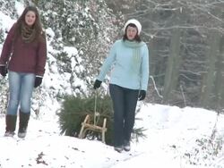 MS Two women walking through forest with christmas tree on sled / Saarburg, Rhineland-Palatinate, Germany Stock Footage