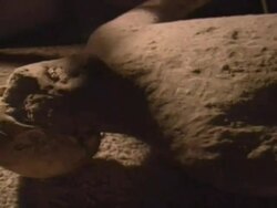 Shots of the ash mummies in Pompeii that died when Mt. Vesuvius erupted. Stock Footage