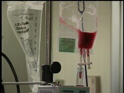 An Israeli man says he sold one of his kidneys for more than $20,000 and now some say the government should make such deals legal so those waiting to get the organs they need have a better chance to receive them.  (Aug. 18) News Clip