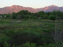Tilt up to sunset of the wasatch front mountains. Stock Footage