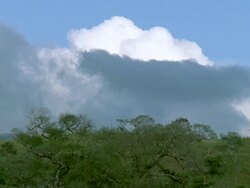 WS T/L Wind pushing clouds over high grassland / Guanacaste, Costa Rica Stock Footage