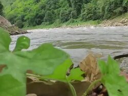 Flow Water Stock Footage