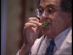 Bosnia - Passover Celebrations, News Clip