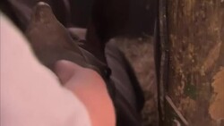 Rhino Calves Being Fed At Rhino Orphanage News Clip