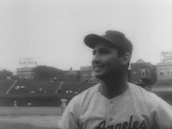 Sandy Koufax Retires From Baseball Stock Footage