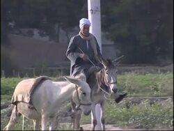 Life for those living under the poverty line in Cairo News Clip