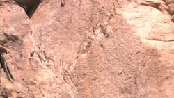 No Viviente Instructional Video