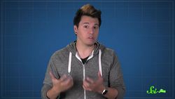 Bloody Amazing Facts About Vampire Bats Instructional Video