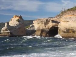 Oregon Coast Stock Footage