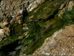Algae in mineral-rich water, Rio Tinto, Huelva, Andalusia, Spain Stock Footage