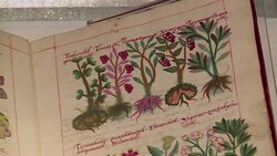 VOICED : Los codices historia y cultura mesoamericana News Clip