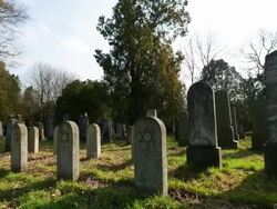Jewish Grave with Star of David Stock Footage