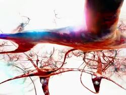 Brain Pyramid Neuron Dolly vivid Stock Footage