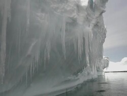 MS POV View of floating icebergs with melting icicles / Antarctic Peninsula, Antarctica Stock Footage