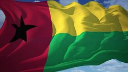 Flag of Guinea-Bissau Stock Footage