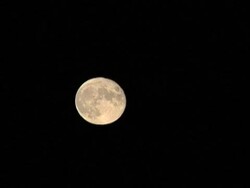 Full Moon Timelapse Stock Footage