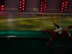 Goose Fair Stock Footage