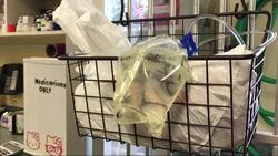 Hero Dog Bitten Saving Girl from Rattlesnake News Clip