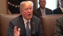 Trump Blames Democrats For Immigration Problems News Clip