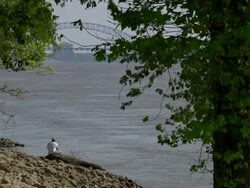 MS Man fishing on mississippi river / Memphis, Tennessee, United States Stock Footage