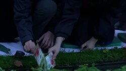 Prince William planting poppy seeds in park News Clip