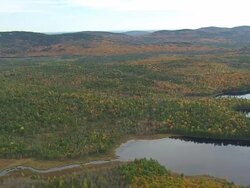 WS ARIEAL View of wooded area with small lake / Maine, United States Stock Footage