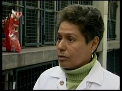 City divided over fate of dog that killed burglar News Clip